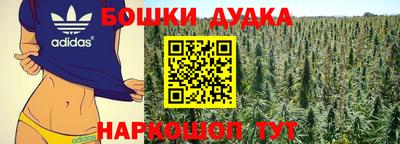 хмурый Кингисепп