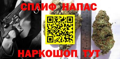 хмурый Кингисепп