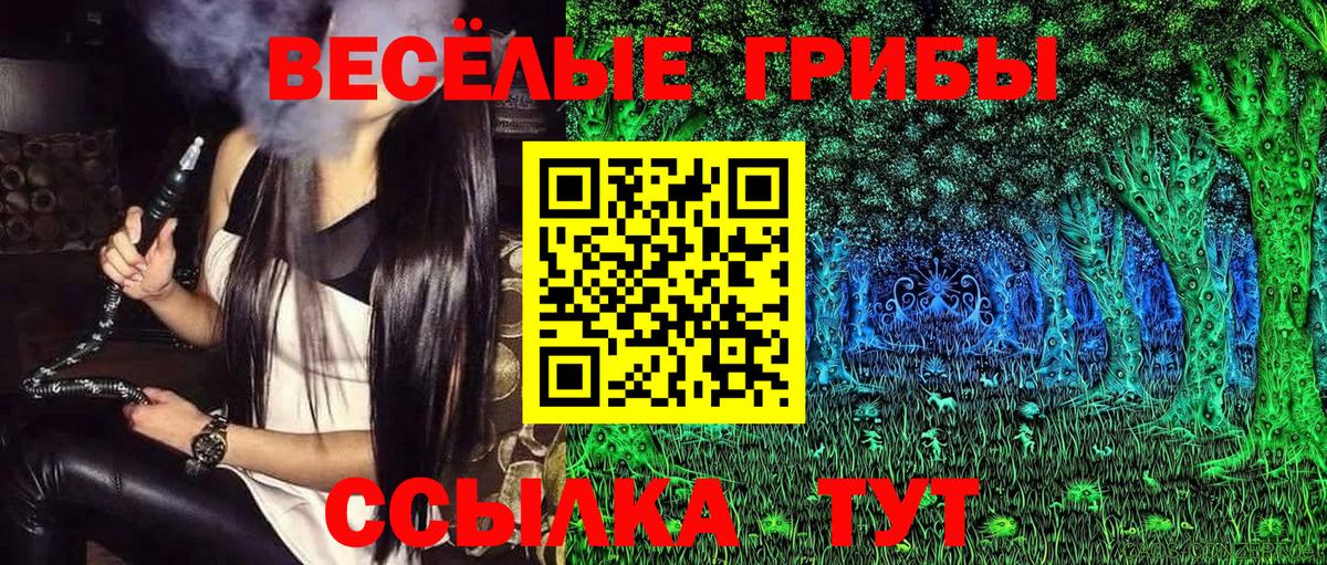 Чернушка  Галлюциногенные грибы прущие грибы  Псилоцибиновые грибы GOLDEN TEACHER  Вход с VPN 